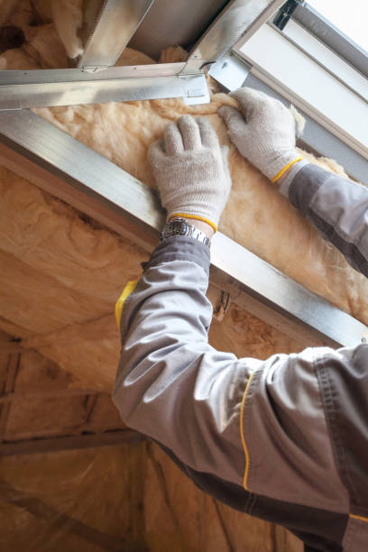 Best Commercial Insulation Services  in Maryland City, MD