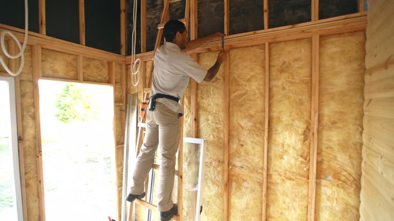 Best Eco-Friendly or Green Insulation Solutions  in Maryland City, MD